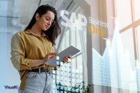 Conoce las herramientas de SAP Business One.