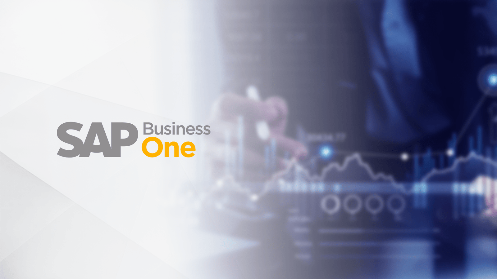 SAP Business One.