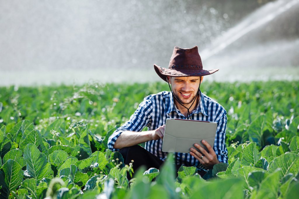 Para la agroindustria, SAP Business One ha demostrado una excelente ERP, al potenciar y digitalizar todas sus operaciones.